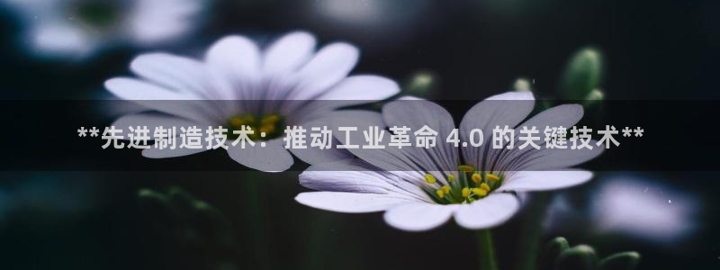 彩神网官网登录：**先进制造技术：推动工业革命 4.0 的关键技术**