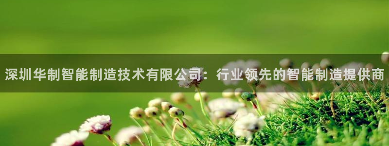 彩神V3大赢家：深圳华制智能制造技术有限公司：行业领先的智能